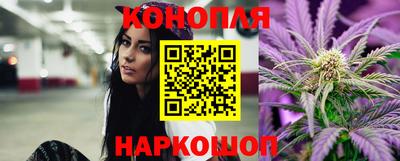 гашик Краснознаменск