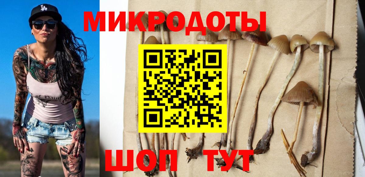Ессентуки  Галлюциногенные грибы мицелий  Вход с VPN 